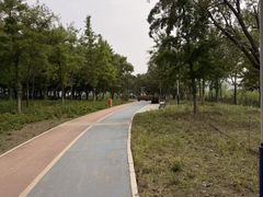 -绿堤公园