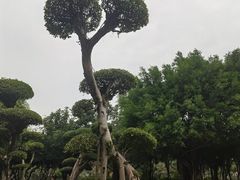 -南宁南湖公园