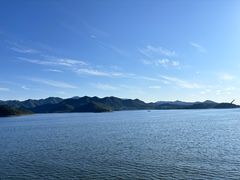 -望湖烤鱼