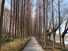 -云龙湖旅游景区