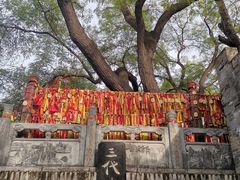 -大槐树寻根祭祖园