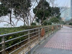 -长沙滨江文化园