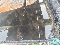 -蓝湾碧波·老字号·疍家非遗海上餐厅