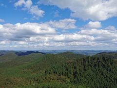 -武陵山森林公园