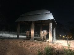 -清迈夜间动物园