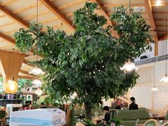 大堂-青柠记忆泰式海鲜火锅(合生汇购物中心店)