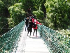 -众神白水涧景区