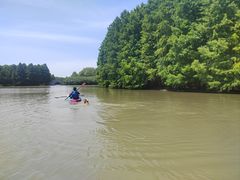 -上海海湾国家森林公园