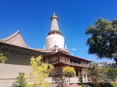 -张掖大佛寺景区