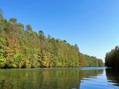 -上海海湾国家森林公园