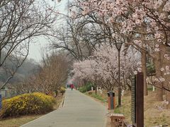 -元大都城垣遗址公园