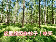 -上海怡沁园度假酒店