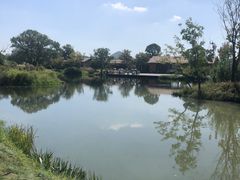 -良渚古城遗址公园