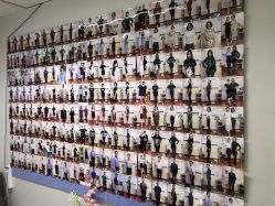 -维纳斯专业减肥