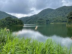 -广州市石门国家森林公园