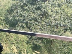-缙云山景区