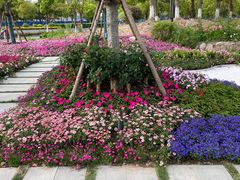 -春花秋色城市公园