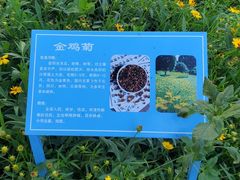 -太阳宫公园