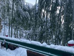 -莫干山风景区