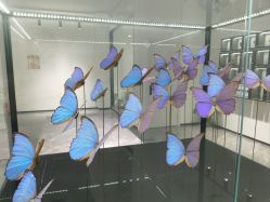 -酷嗒动物文化乐园(cutezoo西溪乐天城店)