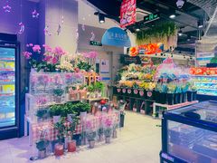 -盒马鲜生(红莲店)