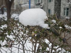 -火器营(地铁站)