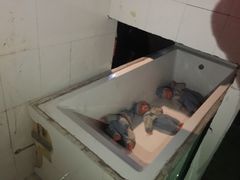 -秃鹫湾·推理大师沉浸式实景演绎推理剧场