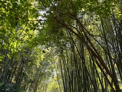 -人民公园(罗湖区)