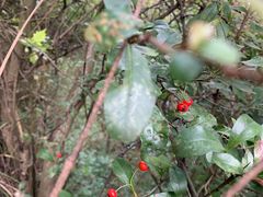 -金堂县云顶石城风景区
