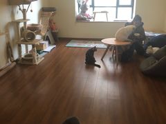 -Meowの猫咖(万家丽店)