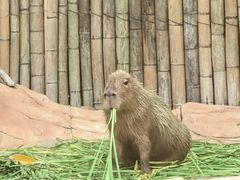 -珠海长隆海洋王国