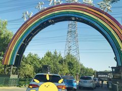 -九十九顶毡房(阜石路店)