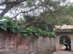 -扬美古镇景区