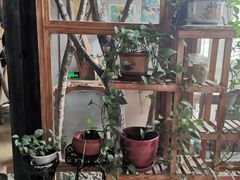 -Africafe(非洲咖啡)