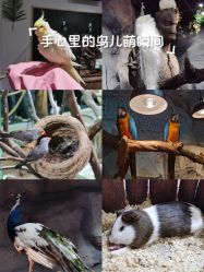 -Zoolung Zoolung动物主题公园(海信广场店)