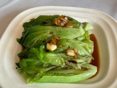 白灼生菜-春满园·早茶·粤菜·宴会(前海店)