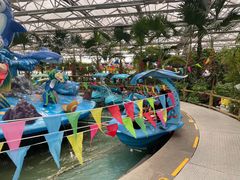 -南宫五洲植物乐园