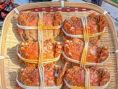 -丫丫蟹庄·苏式园林农家乐·阳澄湖大闸蟹(阳澄湖莲花岛店)