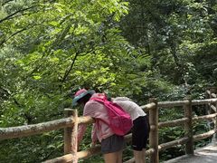 -少华山国家森林公园