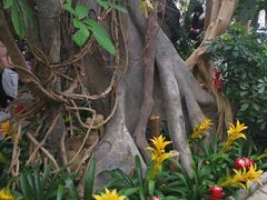 -北京植物园-展览温室