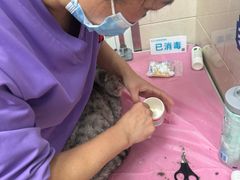 -北京观赏动物医院·24小时大型综合·猫专科·异宠专科