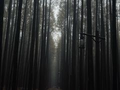 -山王坪喀斯特国家生态公园