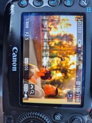 -拾尚映画·STUDIO婚纱摄影(中关村店)