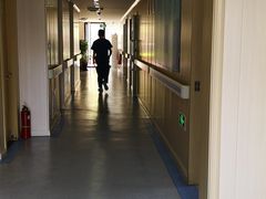 -喜多萌中农锦绣动物医院24H·猫科·牙科MRI·CT