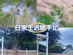 -牛岗山公园