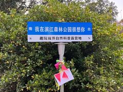 -上海滨江森林公园