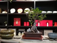 -山水悦茶会所(上海沙龙新天地天宝商业中心店)