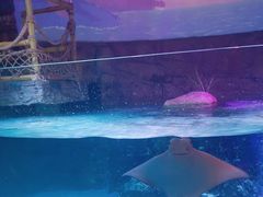 -沈阳海洋探索中心