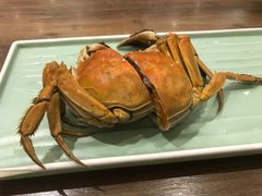 螃蟹-锡和无锡菜(景丽苑店)