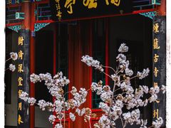 -陶然亭公园
